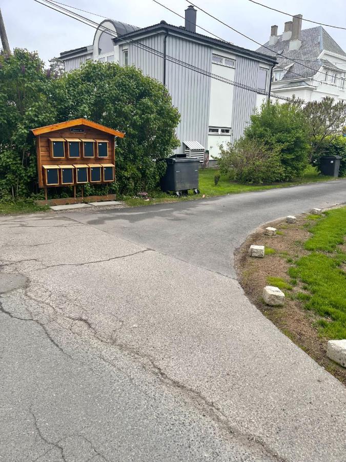 Nice Apartment With1 Bedroom Separate Living Room With A Sofa Bed And A Tiny Kitchen A Bathroom Located In Nordstrand Near By The Sea For 3 Guests With A Garden And Grill 5 Extra Guests With Extra Cost In The Cabin With Sea View Just Outside The Apar Oslo Buitenkant foto