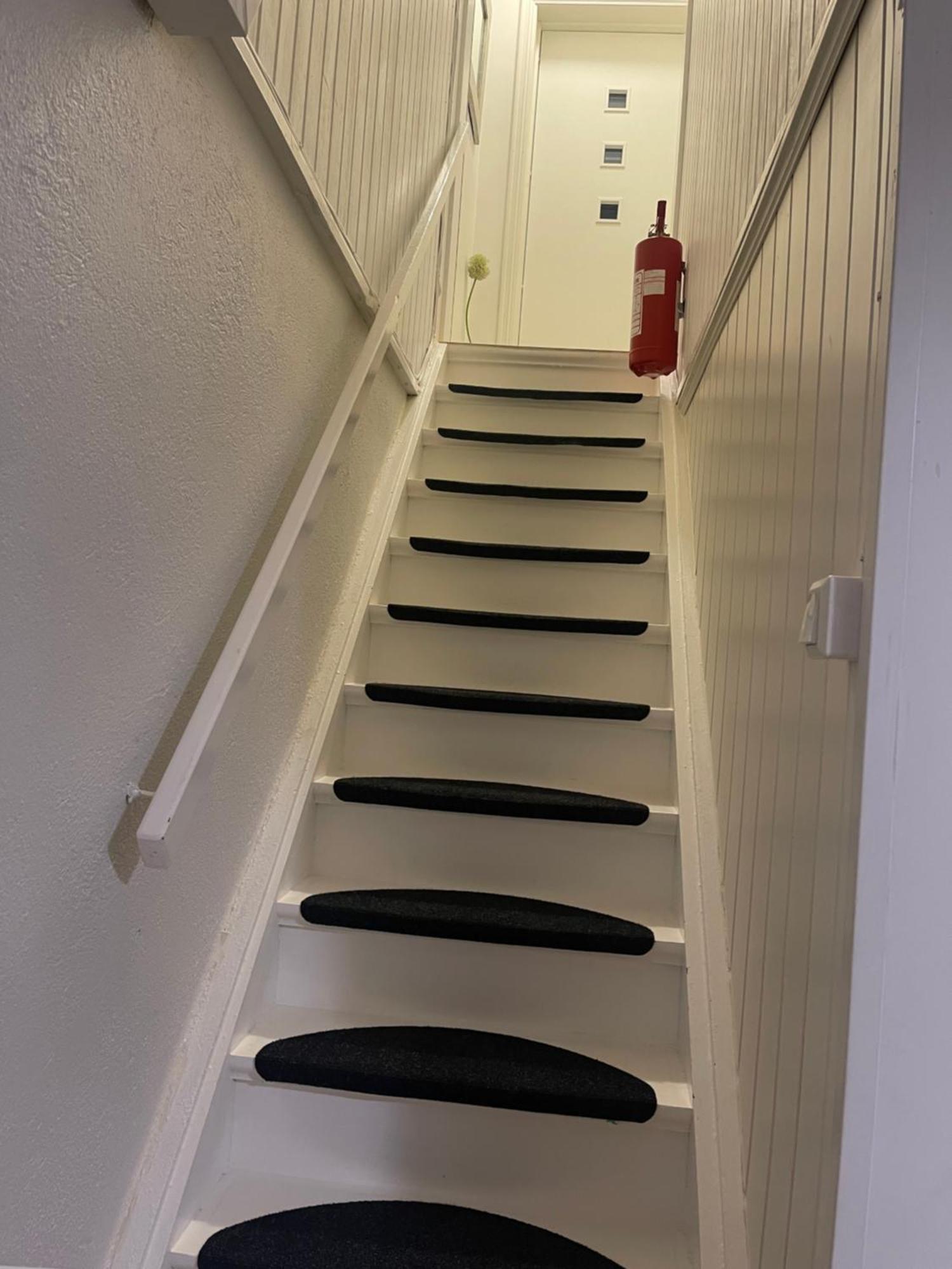 Nice Apartment With1 Bedroom Separate Living Room With A Sofa Bed And A Tiny Kitchen A Bathroom Located In Nordstrand Near By The Sea For 3 Guests With A Garden And Grill 5 Extra Guests With Extra Cost In The Cabin With Sea View Just Outside The Apar Oslo Buitenkant foto
